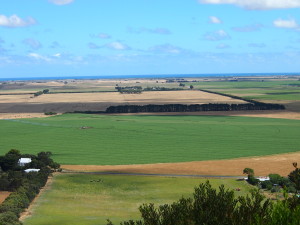 The view from the top of Mt Schank