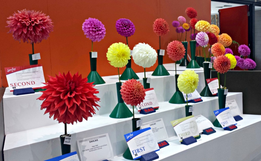 2015 Sydney Royal Easter Show - Flowers