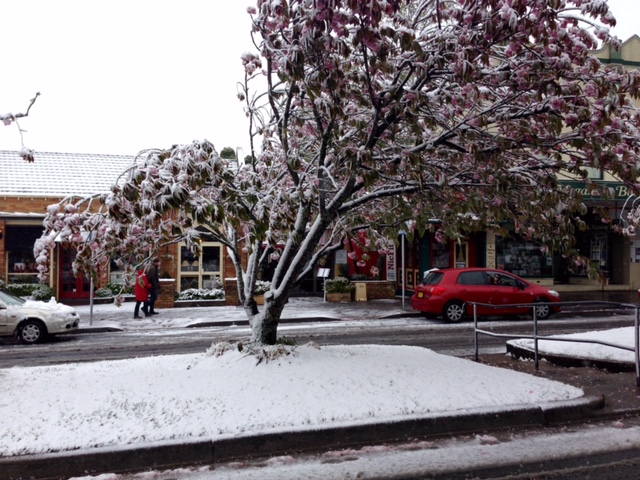 Snow at Leura