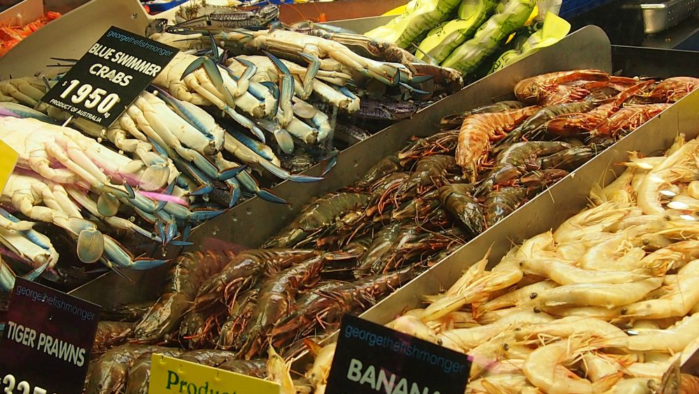 Seafood at Queen Victoria Market