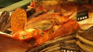 Gurnard at Queen Victoria Market