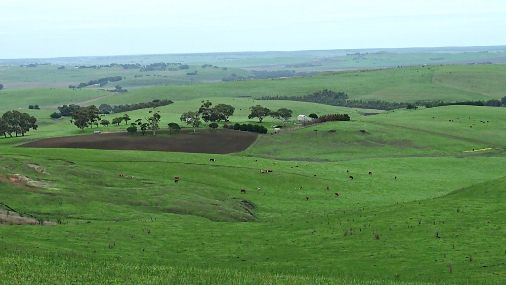 The beautiful view from Muntham Hill, western Victoria