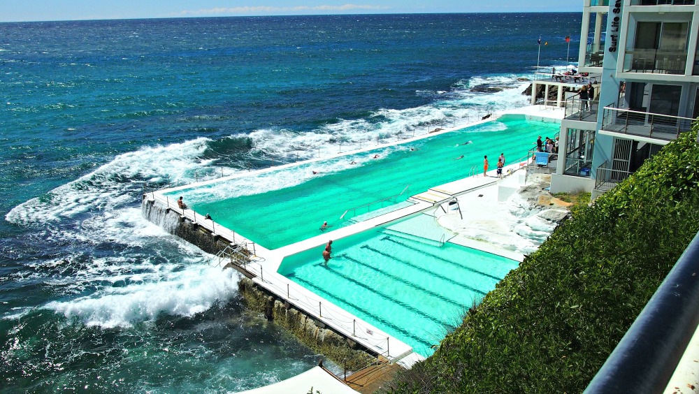 Bondi Icebergs looking gorgeous