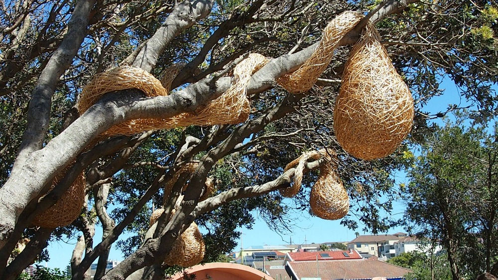 Nests by Jette Mellgren