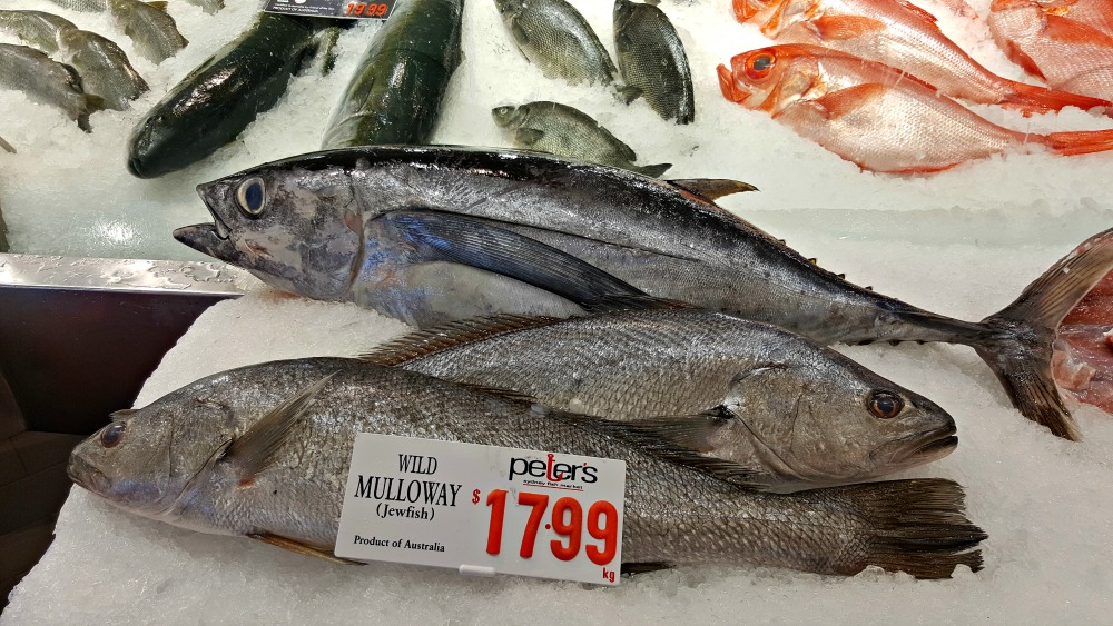 Mulloway - one of my favourite fish.