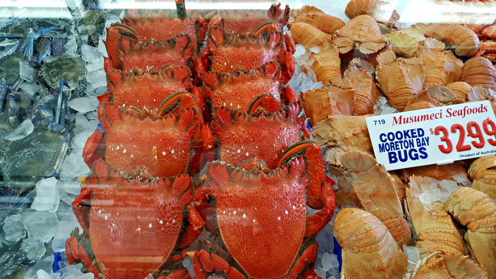 Crab and Morton Bay Bug display