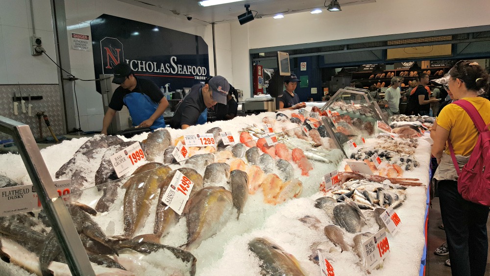 A fresh fish display. 