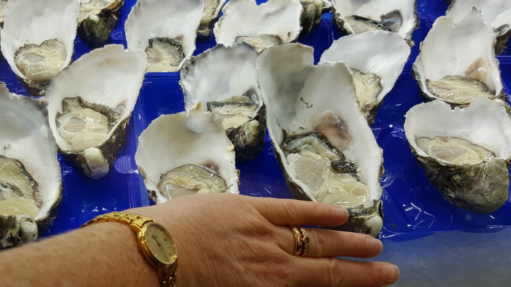 These Pacific oysters were the size of my hand. 