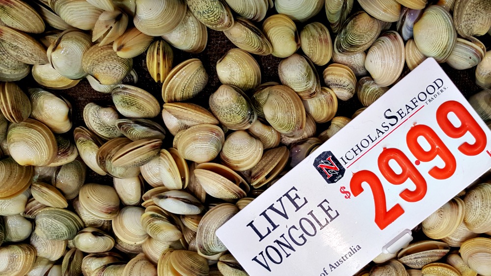 Live vongole.