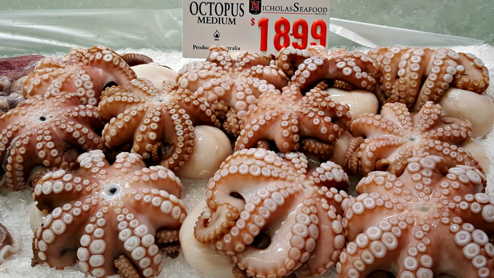 Gorgeous looking octopi.