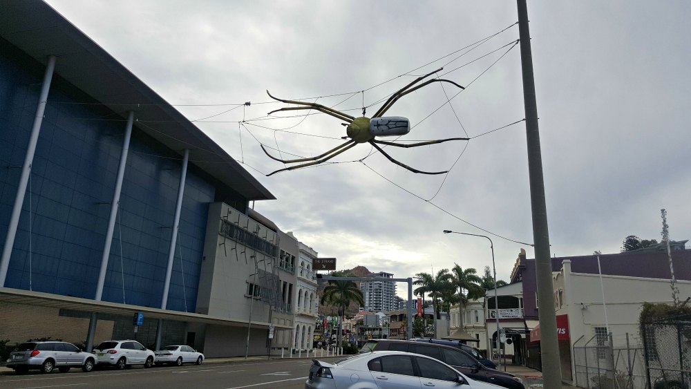 Flinders Street spider