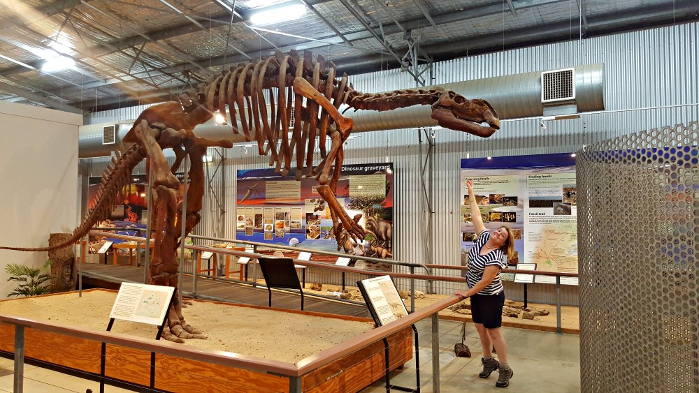 Hughie, the 7 metre tall muttaburrasaurus 