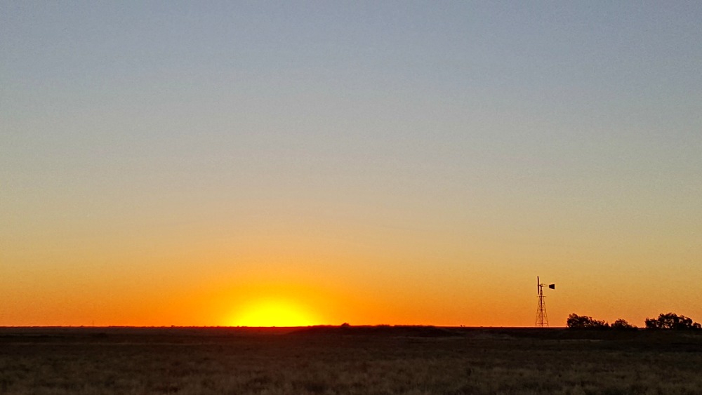 Windmill sunset