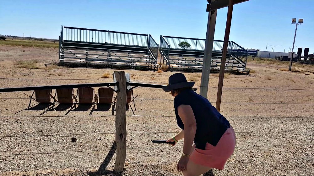 musical fence