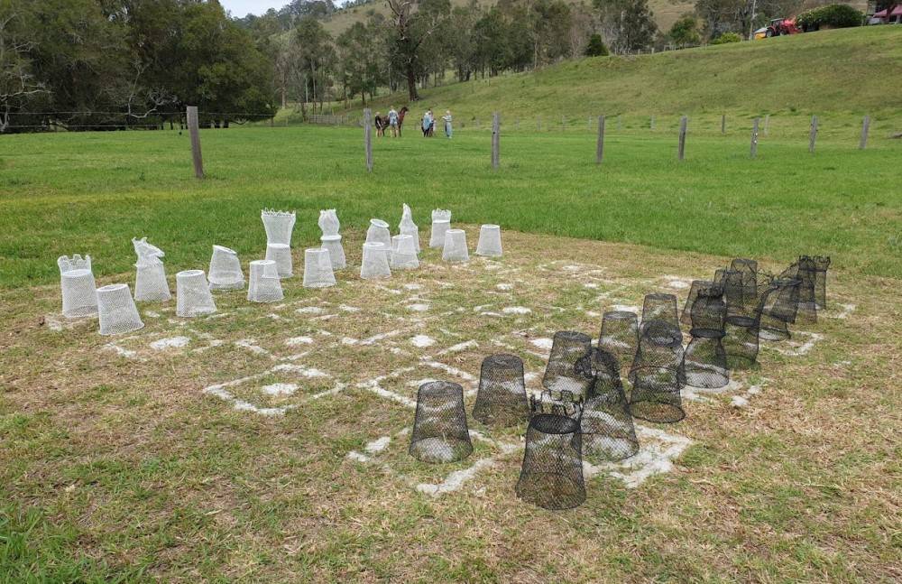 Sculpture on the Farm. Chess Set by Gary Boote.